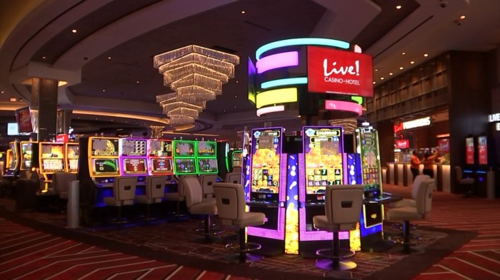 Live Casino Online