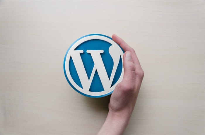 Gak Ribet! Bikin Website Sendiri Pakai WordPress