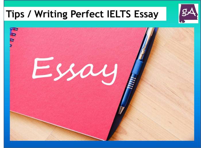 Ielts essay